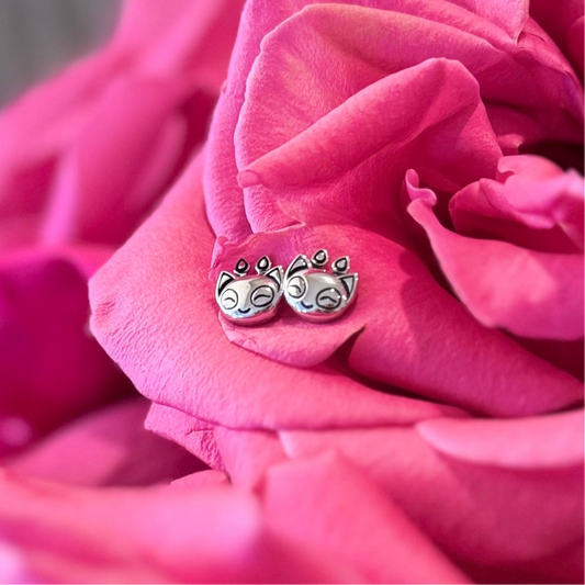 Baby Aisha Studs, Neopets