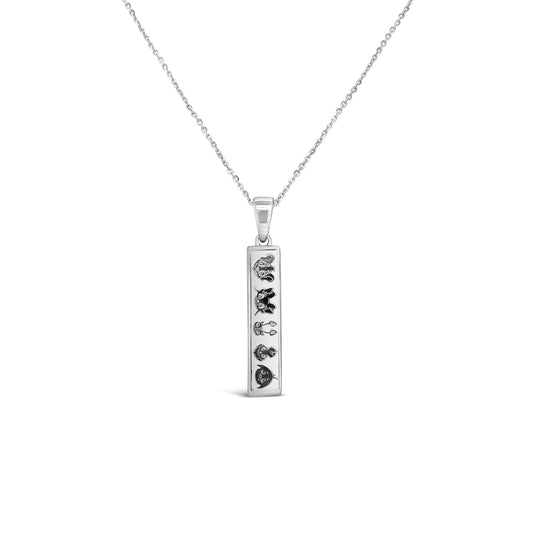 Neopets Bar Necklace, Neopets