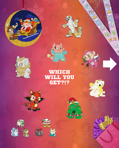 Black Friday/Cyber Monday Mystery Bag, Neopets